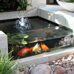 73 Backyard and Garden Pond Designs And Ide