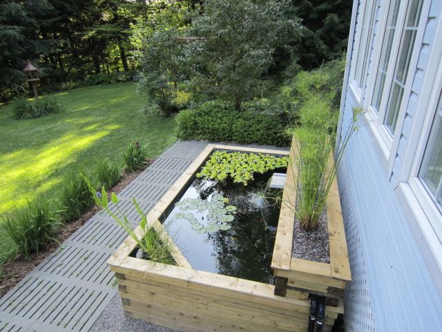 Our above ground koi pond built in 2011 | Ponds backyard, Patio .