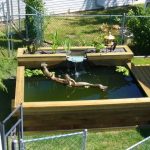 Above Ground Pond Designs It is about 2 above ground | Ponds .