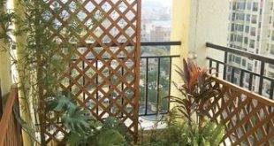 Apartment Balcony Privacy Screen | Le Zai Le Zai Gardening Company .