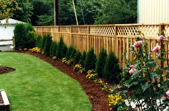 Ideas And Tips To Help You Landscape Along Your Fence Line .