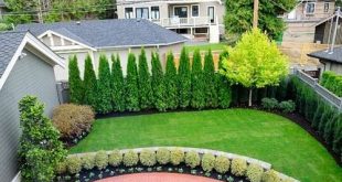 Privacy Landscaping Ideas Ideas, Pictures, Remodel and Decor .