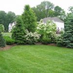 Elegant Backyard Privacy Landscaping Ideas 1000 Images About .