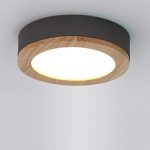 Amazon.com: Ceiling Lights Lamps Chandeliers Pendant Light .