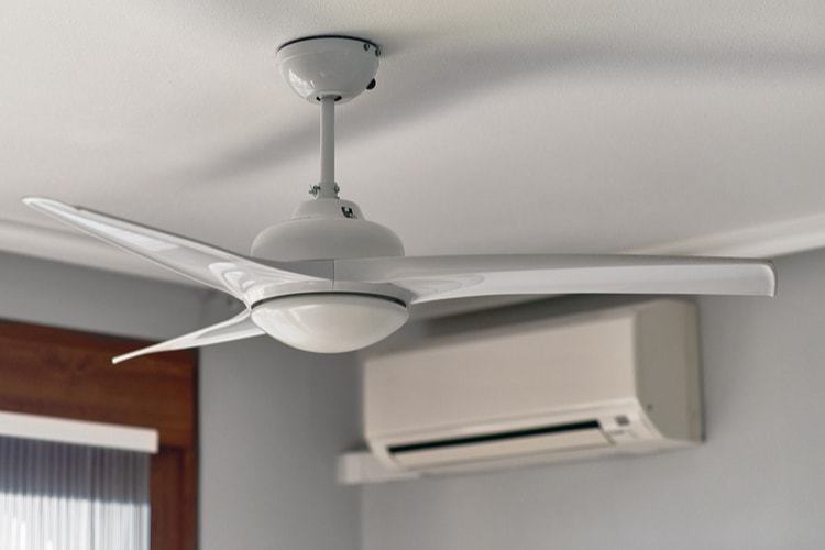 The 25 Best Ceiling Fans of 2020: Hunter, Westinghouse & More .