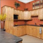 best kitchen paint colors with oak cabinets and black appliances .