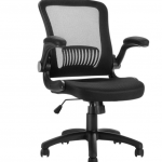 Lumbar Office Chair | BioEnergy Consu