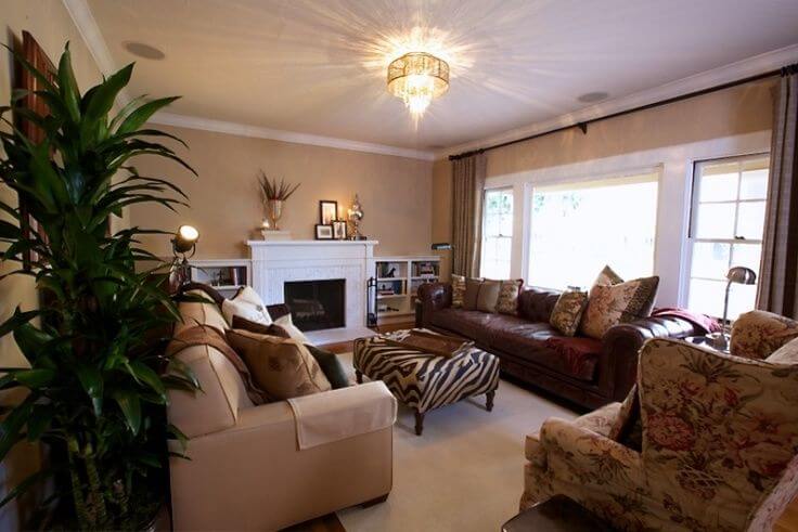 17 Zebra Living Room Decor Ideas (Picture