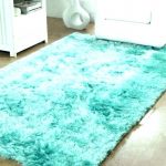teal and orange area rugs | Teal rug, Fuzzy rug, Fluffy r
