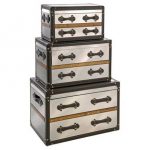 S/3 Tilman Trunks | Furniture, Decorative trunks, Storage trun