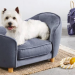 Aldi Releases A Line Of Tiny Dog Sofas And They're Too Adorable .