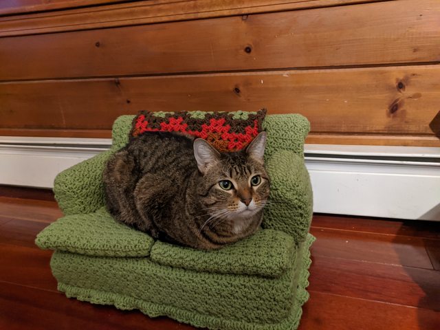 Mews and Nips: People Are Crocheting Tiny Sofas for Their Cats .