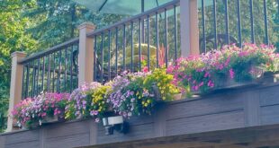 deck decorating ideas with plants