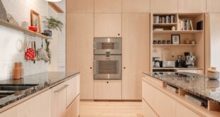 Modern Galley Kitchen Designs With Island