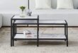 Modern Lift Top Coffee Table with Storage and Style Options