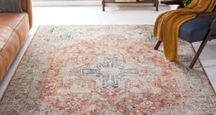 Explore Stylish and Durable Rugs for Every Space!