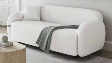 Versatile Sofas for Comfort and Style in Any Space