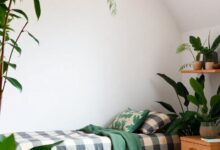 Transform Your Teen’s Space: Jungle-Themed Room Ideas for Boys