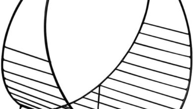 Organizing With Style: Our Take on the Sleek Metal Book Rack