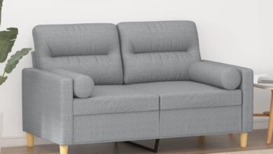 How We Found Comfort and Style in This Light Gray 2-Seater Sofa