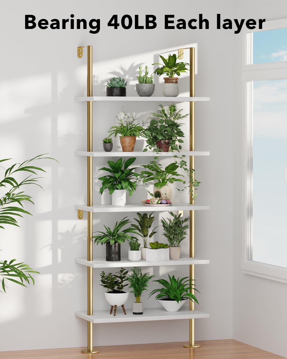 Our Take on the pickpiff 5-Tier Ladder Shelf: Stylish & Sturdy