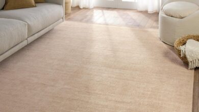 Why We Trust the Jaipur Living Arcus Rug for Stylish Durability