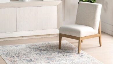 Our Honest Take: nuLOOM Everlee Persian Rug Review