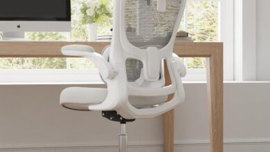 Why We Love the Novilla Ergonomic Chair for Work and Play