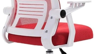 Our Honest Take: The Red Ergonomic Mesh Office Chair Reviewed