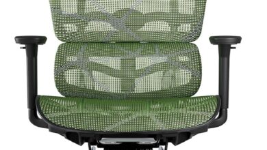 Finding Comfort Together: Our Take on the Fully Adjustable Mesh Office Chair