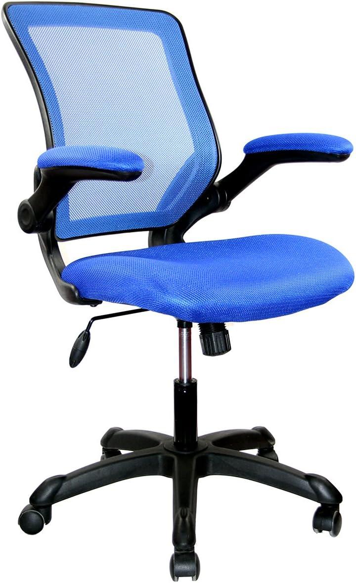 Our Honest Take on the Blue Mesh Task Chair with Flip-Up Arms