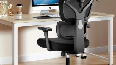 Our Take on the Winrise Ergonomic Office Chair: Comfort Meets Function