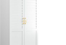 Exploring Style And Function In A Modern Metal Wardrobe With Shelves