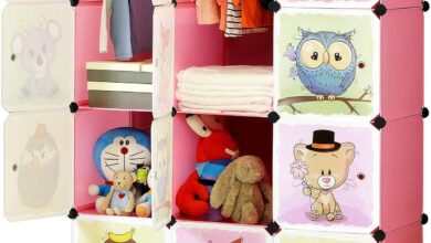 Maximizing Kids Closet Space With Brian Dany Portable Organizer