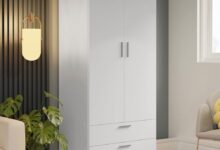 Maximizing Space Together Exploring The Madesa 2 Door Storage Cabinet