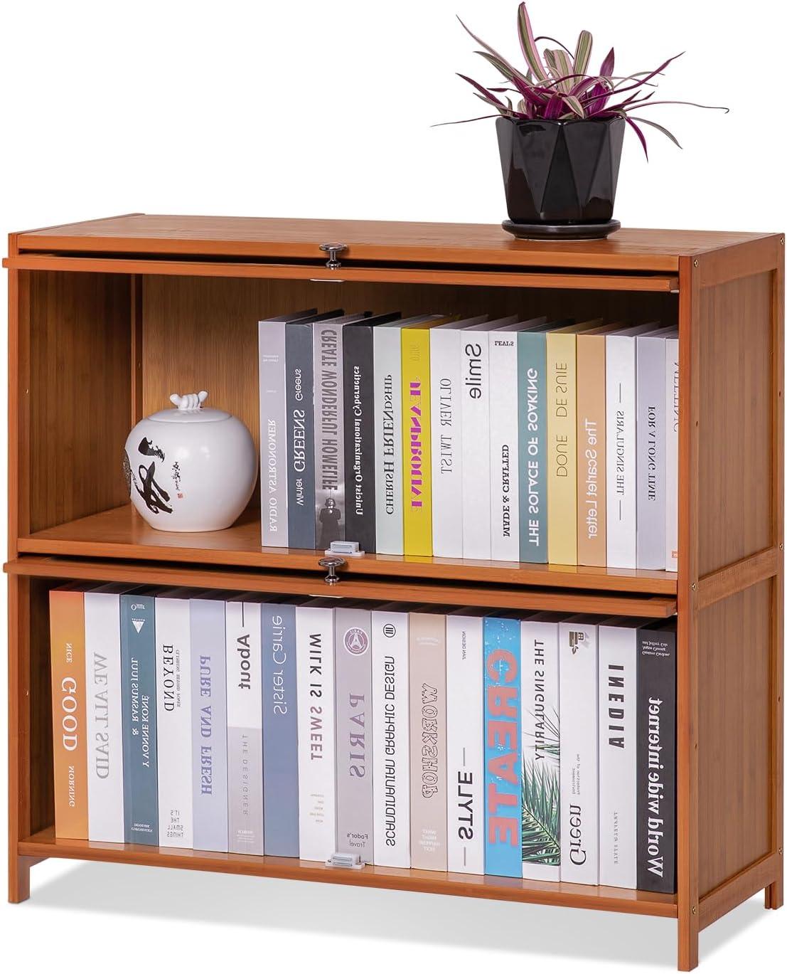 Stylish Yet Flimsy Exploring Magshion Bamboo 2 Tier Bookcase